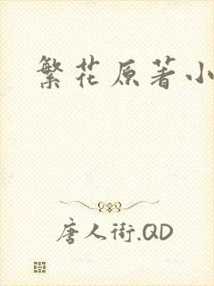 繁花原著小说