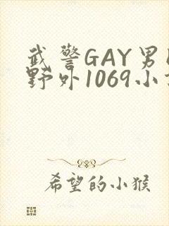 武警GAY男同野外1069小说封面