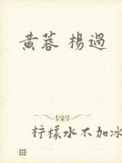 黄蓉 杨过
