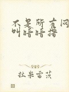 不是所有网站都叫暗暗撸