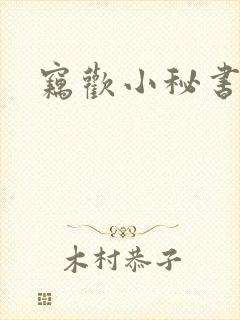 窃欢小秘书