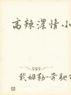 高辣浓情小说