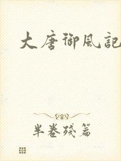 大唐御风记