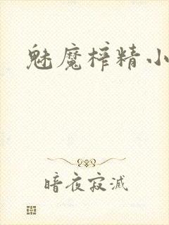 魅魔榨精小说封面