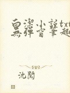 白洁小说txt无弹窗笔趣阁