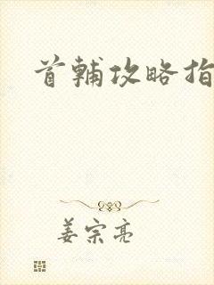 首辅攻略指南