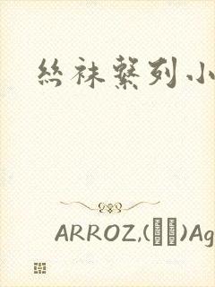 丝袜系列小说