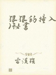 狠狠的撞入(h)秘书