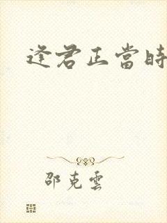 逢君正当时封面