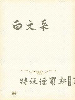 白文采封面