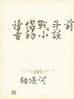 情侣战斗前适合看的小说封面