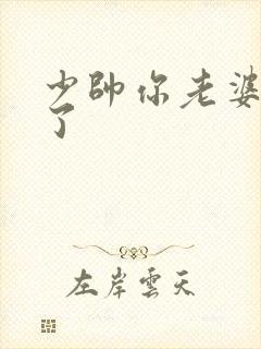 少帅你老婆又跑了