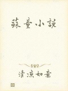 苏童小说