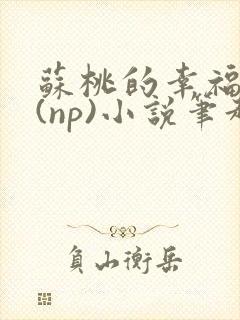 苏桃的幸福生活(np)小说笔趣阁沐沐