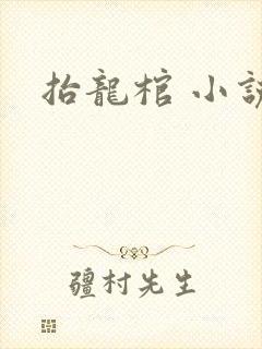 抬龙棺 小说