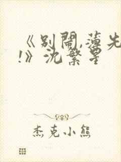 《别闹,薄先生!》沈繁星封面