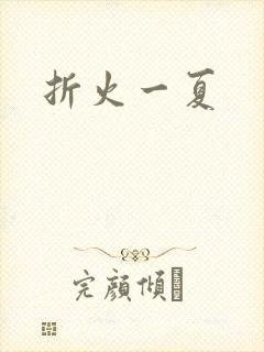 折火一夏封面
