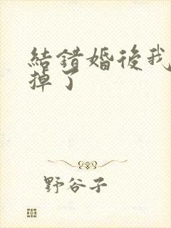 结错婚后我离不掉了封面