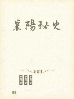 襄阳秘史