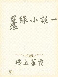 孽缘小说一家乱炖