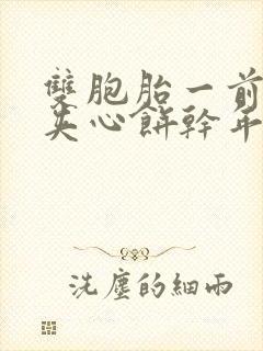 双胞胎一前一后夹心饼干年下
