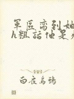 军区脔到她哭hh粗话他是疯批