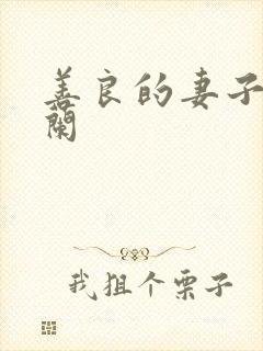 善良的妻子王晓兰