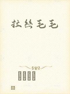 拉丝毛毛