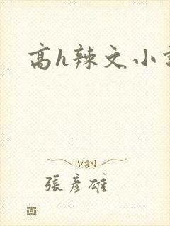 高h辣文小说