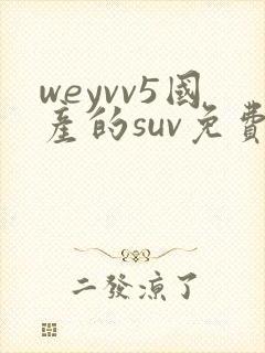 weyvv5国产的suv免费