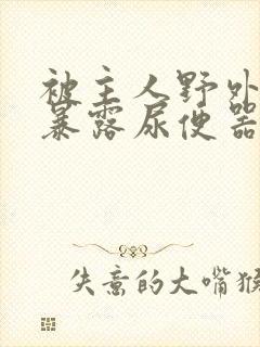 被主人野外调教暴露尿便器