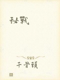 秘战