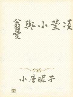 翁与小莹凌晨欢爱封面