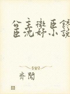 公主微臣馋了微臣沈妤小说封面