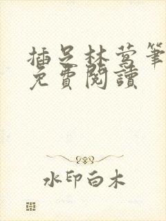 插足林莺笔趣阁免费阅读