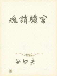 魂销骊宫封面