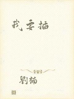 我要插