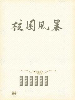 校园风暴封面