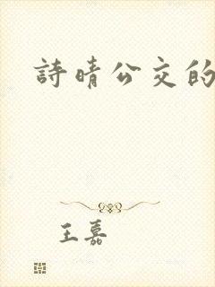 诗晴公交的小说