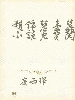 赵锦儿秦慕修的小说免费阅读全文封面