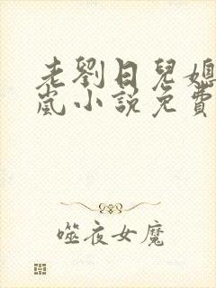老刘日儿媳妇张岚小说免费阅读