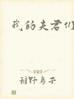 我的夫君们