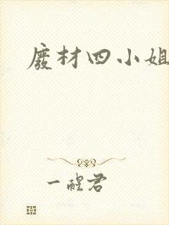 废材四小姐封面