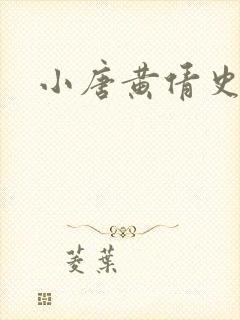 小唐黄倩史