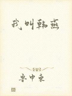我叫韩燕