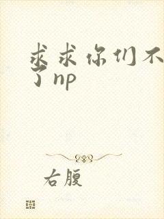 求求你们不要做了np