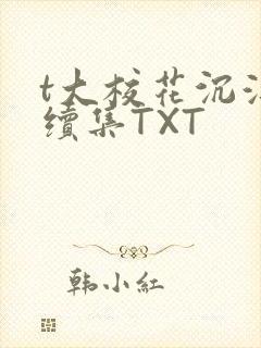 t大校花沉浮录续集TXT