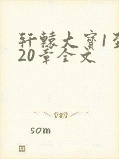 轩辕大宝1至720章全文