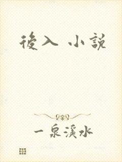 后入 小说