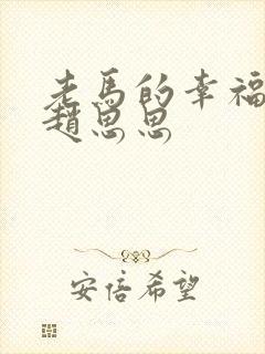 老马的幸福生活赵思思
